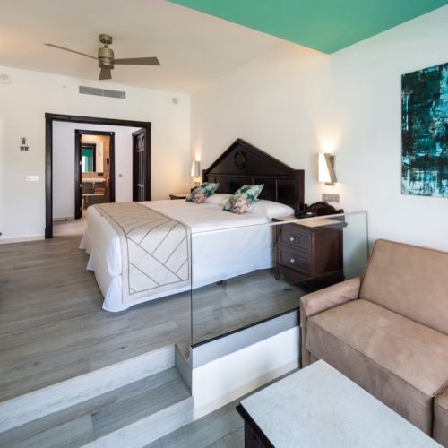 ORI_19_037 - Junior suite